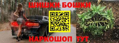СК Краснодар