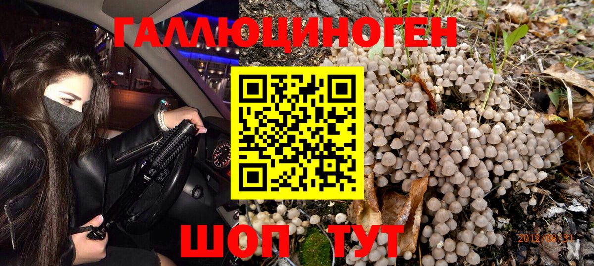 Псилоцибиновые грибы мицелий Муравленко