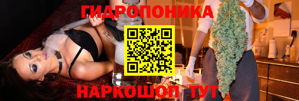 Бошки Шишки OG Kush  Вход с VPN  Конопля AK-47  Канабис ГИДРОПОН  Муравленко 